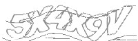 Check code