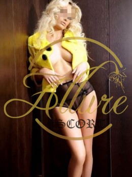 Escort in Frankfurt - Brandy